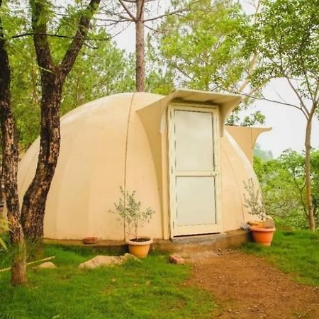 Jusgar Resort And Hote Dogadda エクステリア 写真